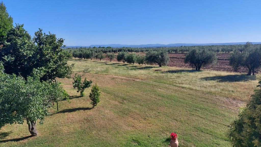 Agriturismo La Corte - Viterbo Terme photo 1