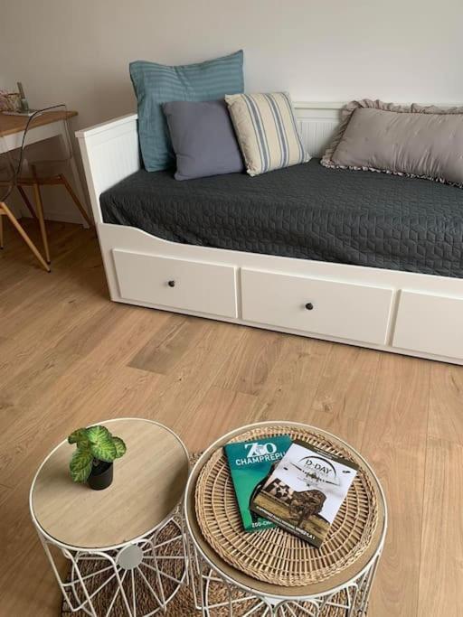 Appartement T2 - 50m de la Mer - Parking - Wifi photo 4