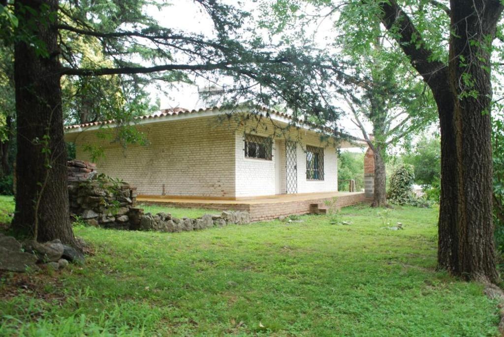 Bosquesito del rio