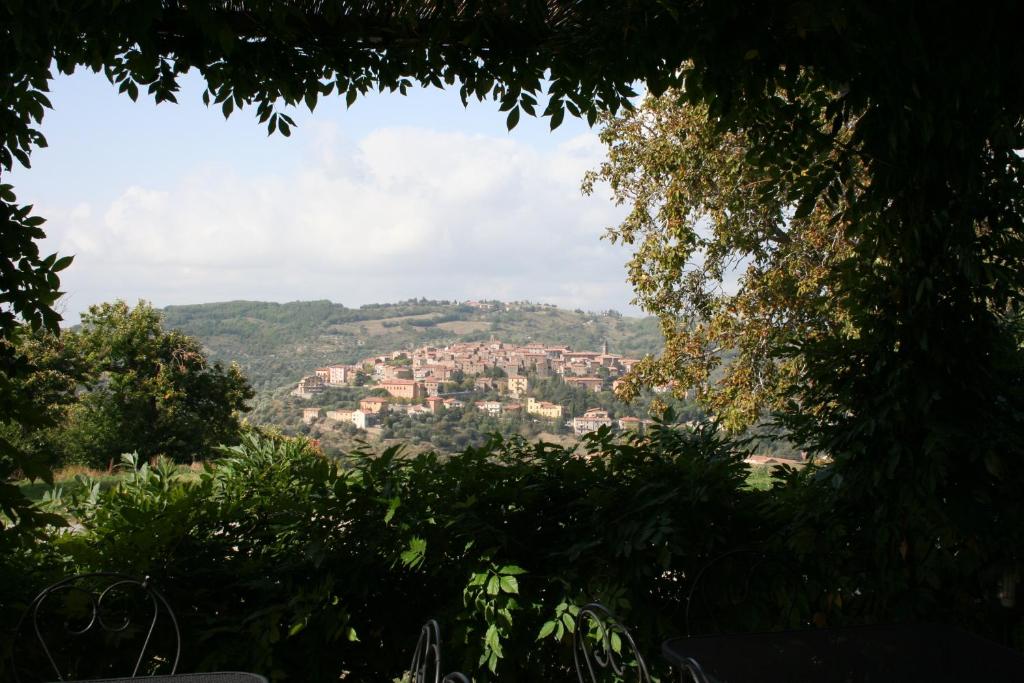 Antico Casale Pozzuolo photo 3