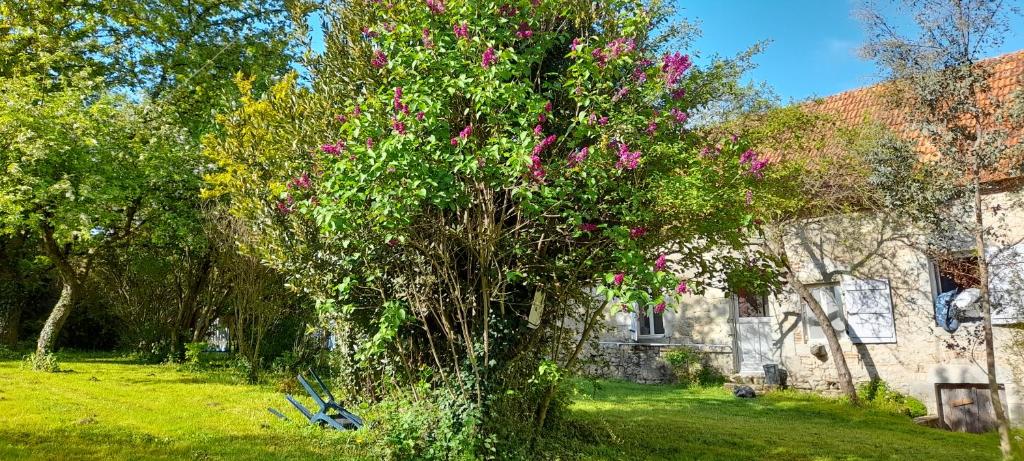 Domaine Pastel photo 3