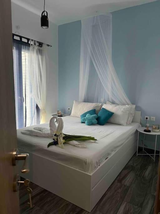 Sissi Olive home photo 3
