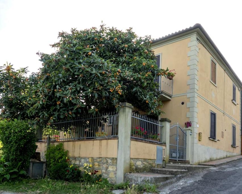 [toscana&mare] cav la lodola