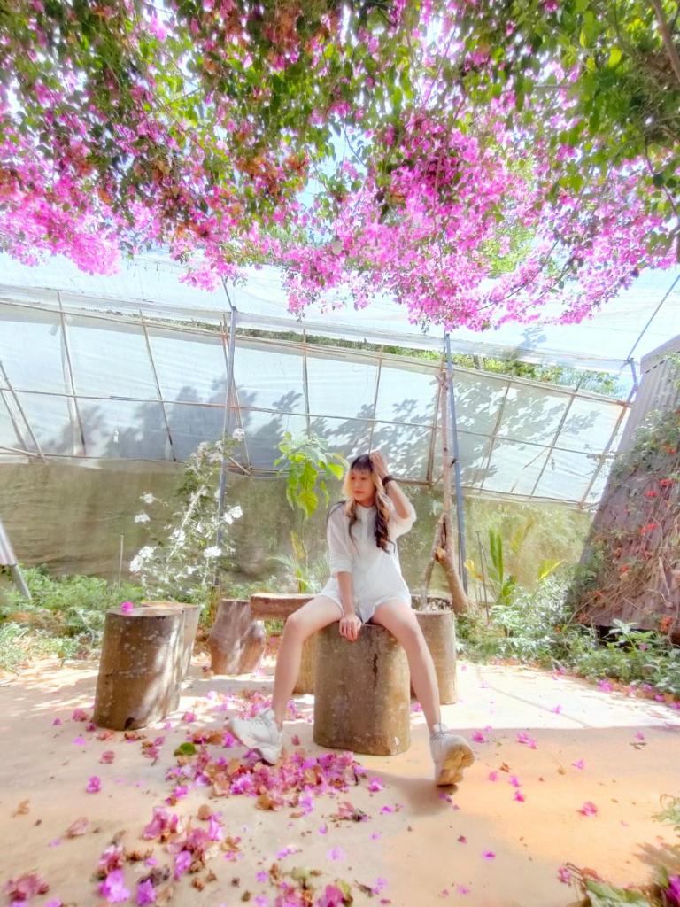 Tuyết Hoa Hòn Bồ Bungalow