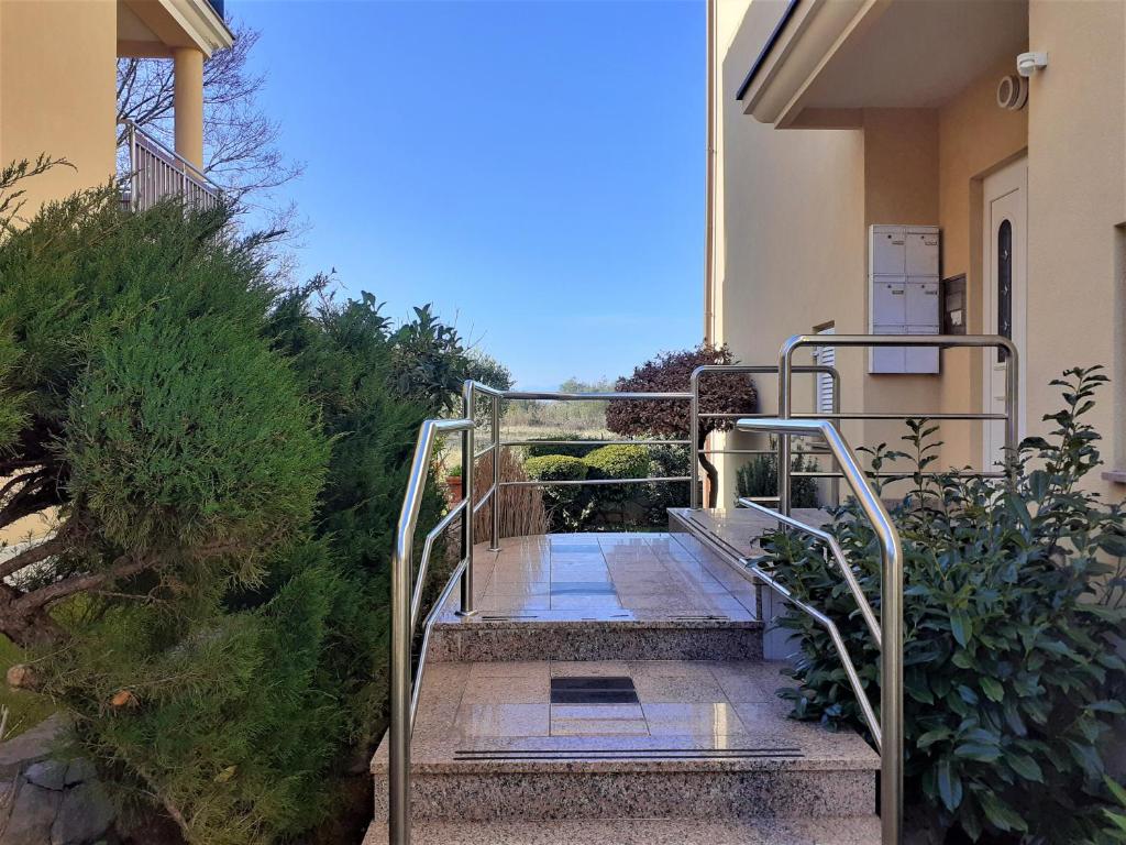 Apartment Camellia photo 3