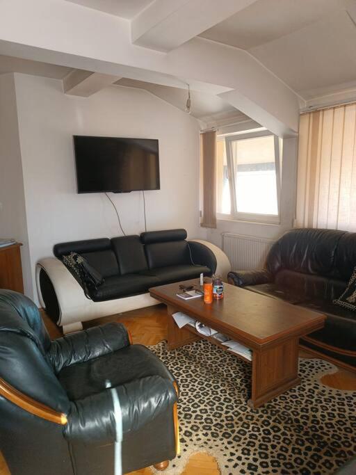 Vranje City Center, Penthouse Delux Apartment photo 3