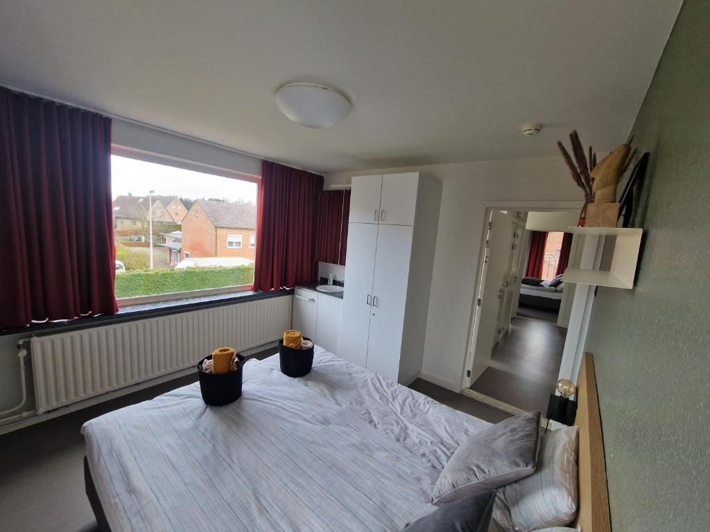 Villa Op de Voort (XL, 12-22 personen) photo 4
