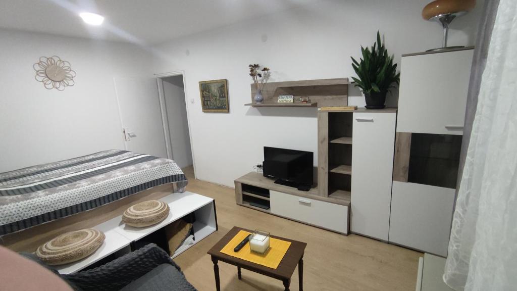 Apartmani Serbian photo 2