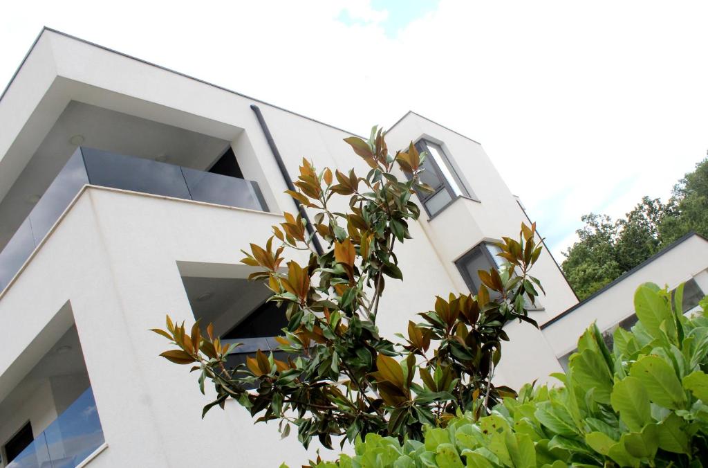 Luxury apartments Aronia