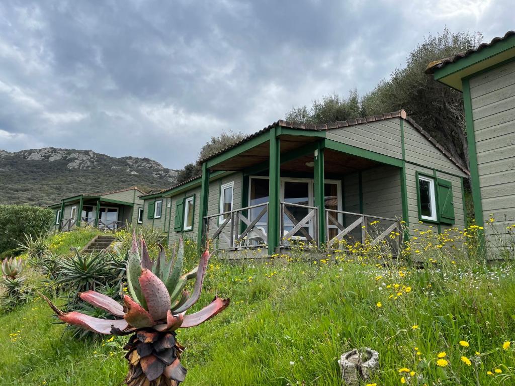 La vallée photo 3