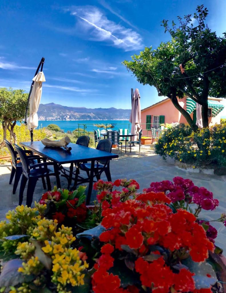 Agriturismo Terre Rosse Portofino photo 2