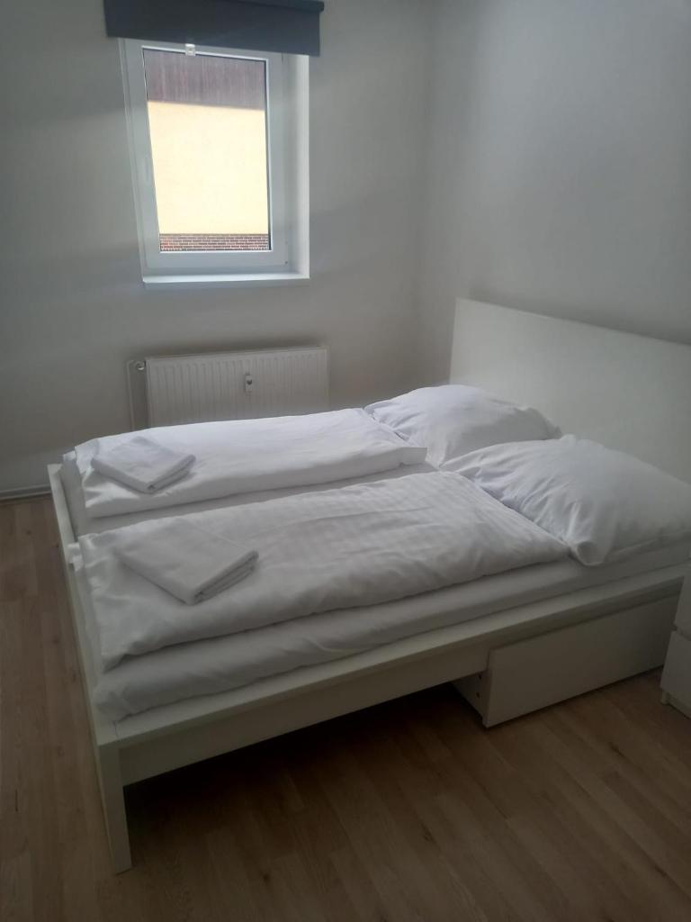 APARTMÁNY za SNĚŽNÍKEM photo 3