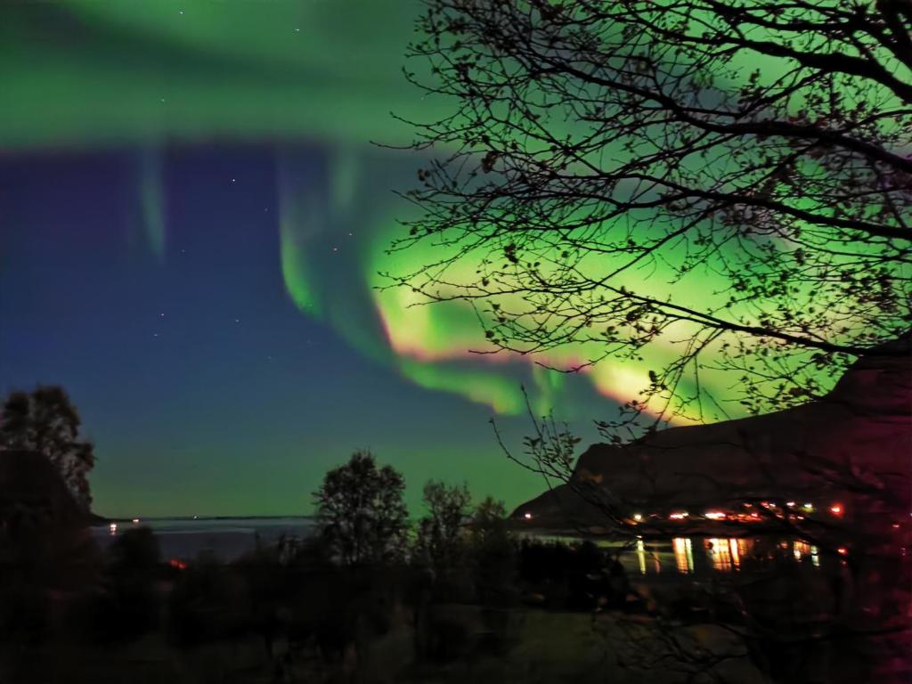 Rystad midnight sun and nature photo 2