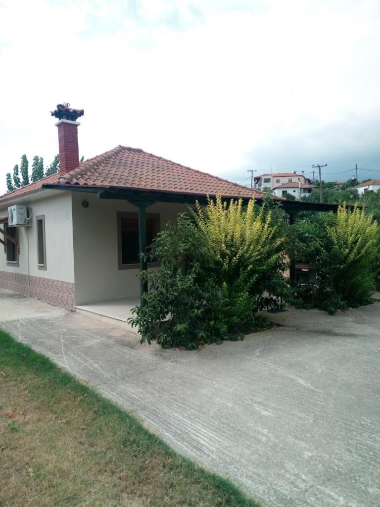 The House in the Mulberries Trees photo 1