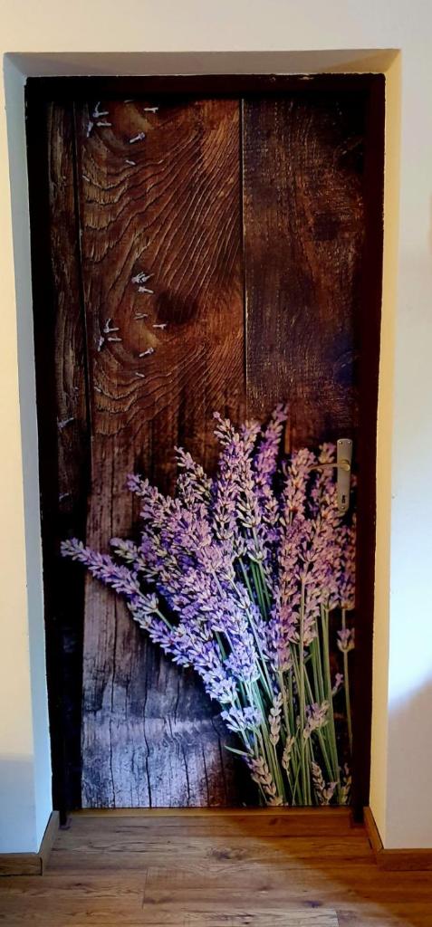 Vila Ema-kuća za odmor photo 1