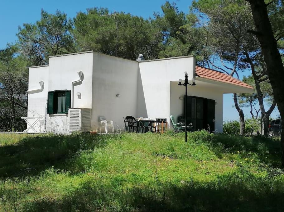 The Shining House near the sea photo 2