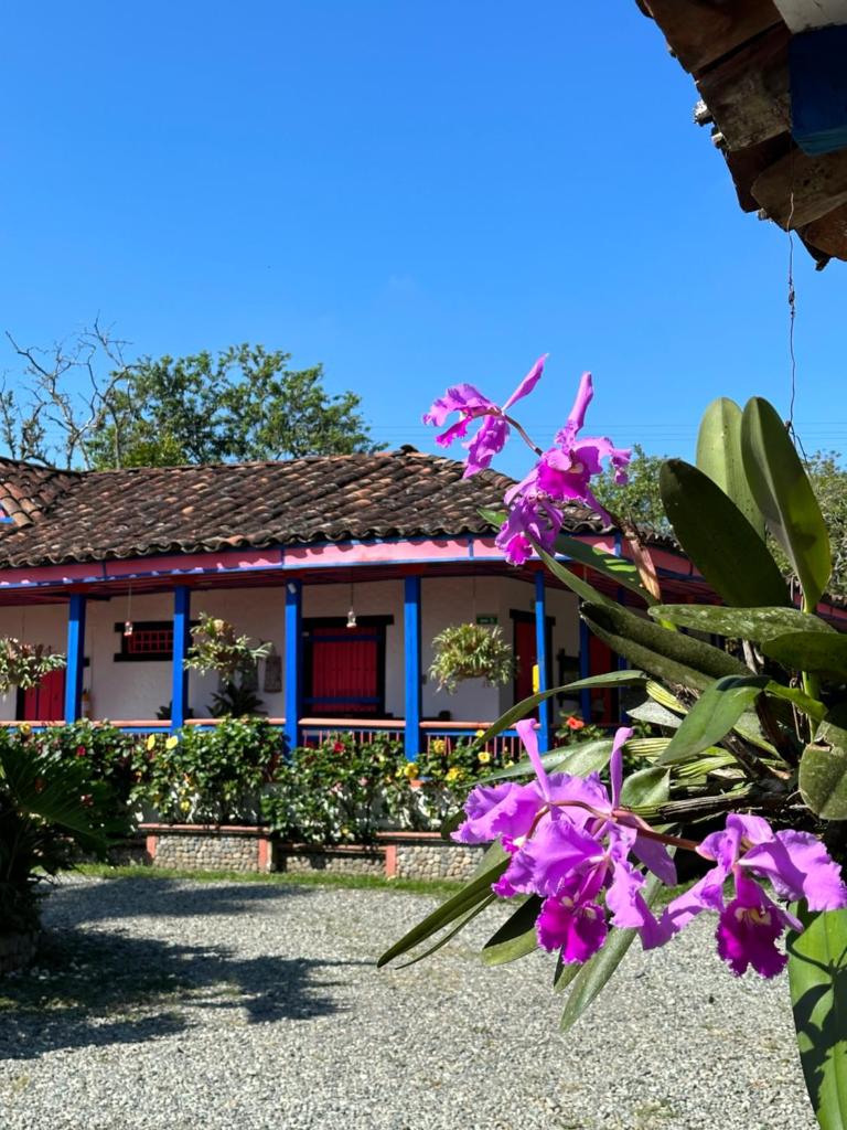 El Percal Hacienda Hotel photo 4