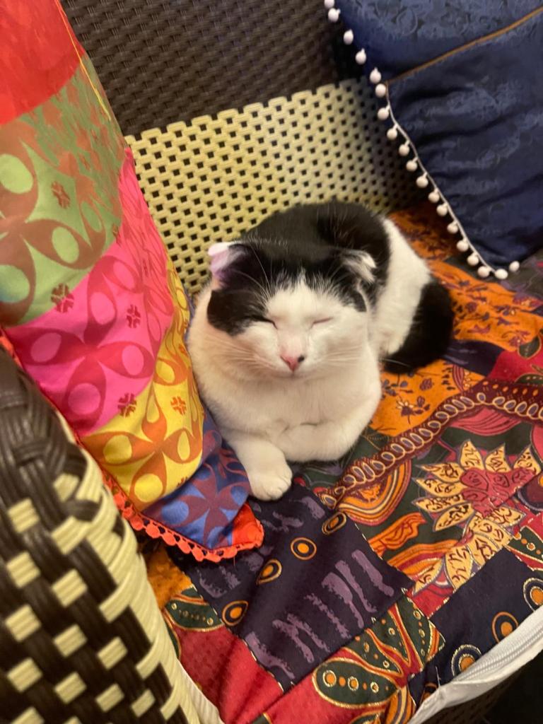 Selena Dalat Homestay