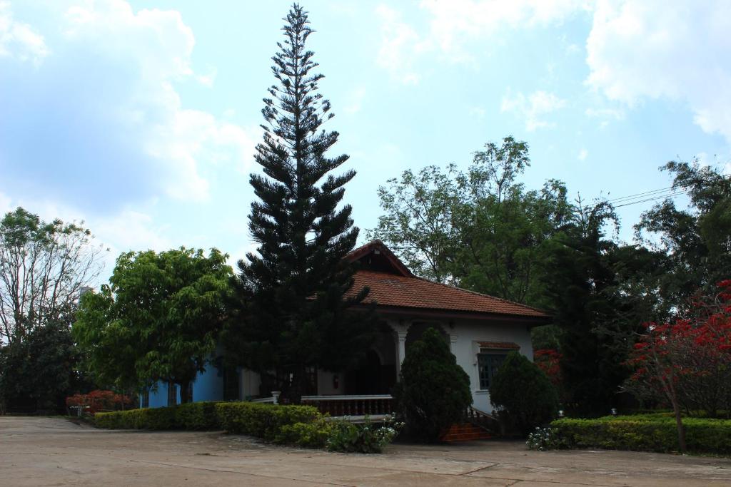 Theokhame Guest House & Hotel photo 1