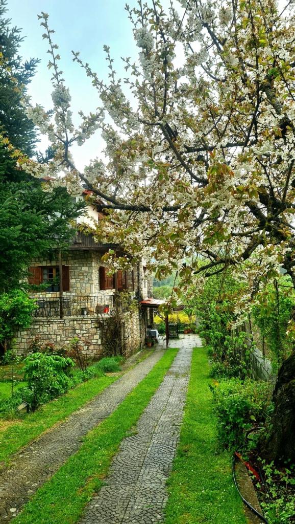 Guesthouse Odysseas photo 2