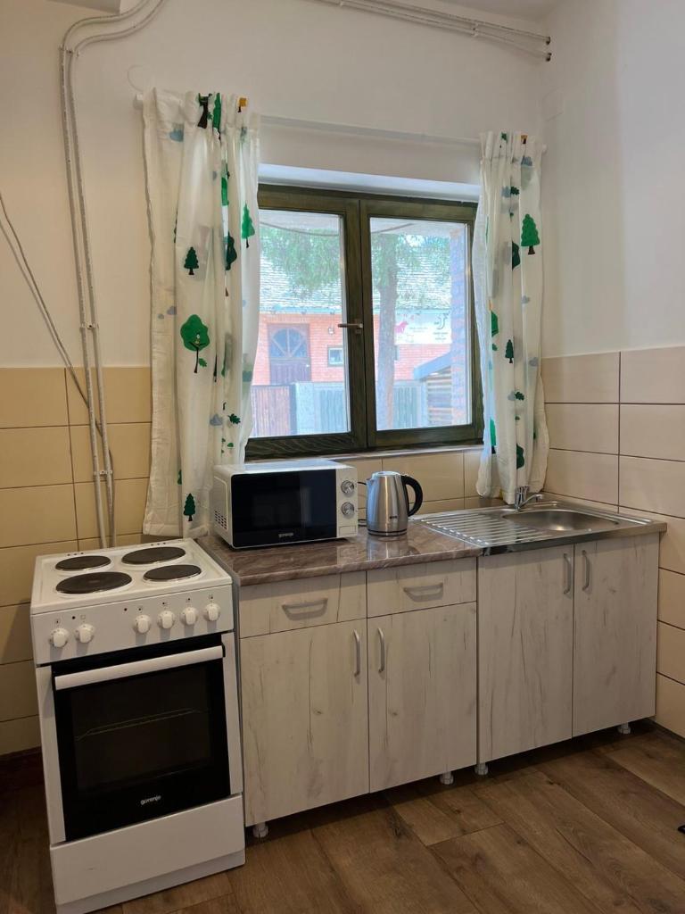 Sremski Karlovci Center Homestay photo 2