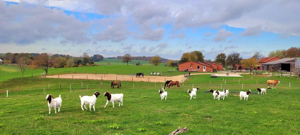 Ferien-Bauernhof Kindt photo 3