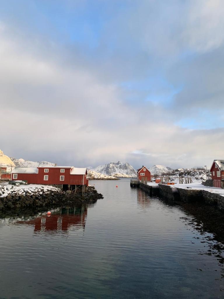 Hjellebua - Stamsund, i hjertet av Lofoten photo 3