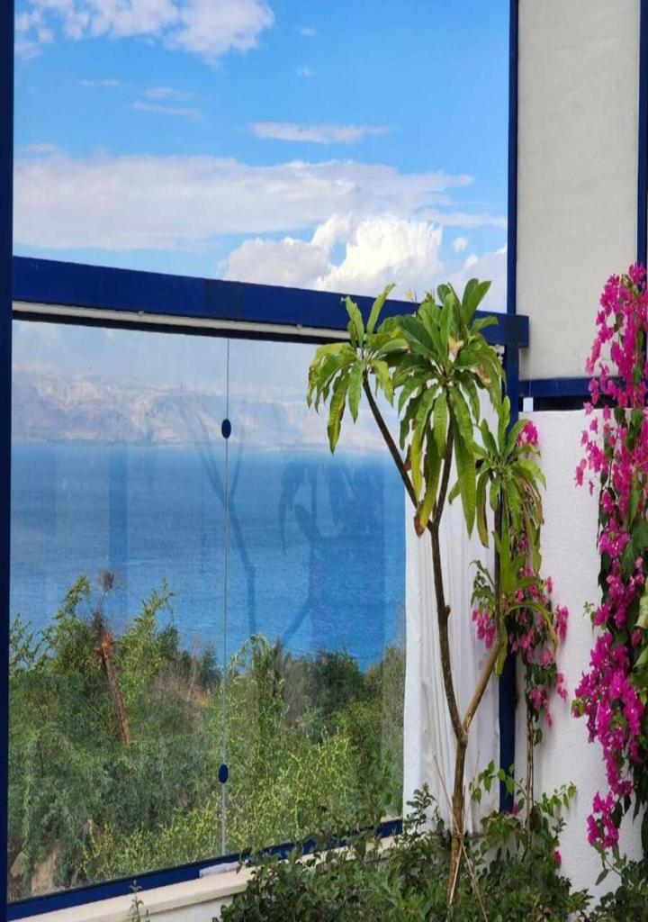 Lara Family Resorts photo 1
