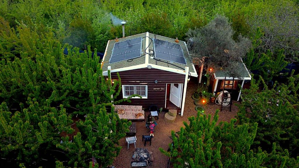 Cantina Cabin's - Think Nature photo 1