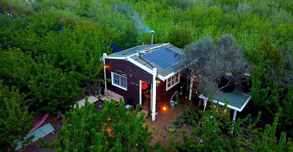 Cantina Cabin's - Think Nature photo 2