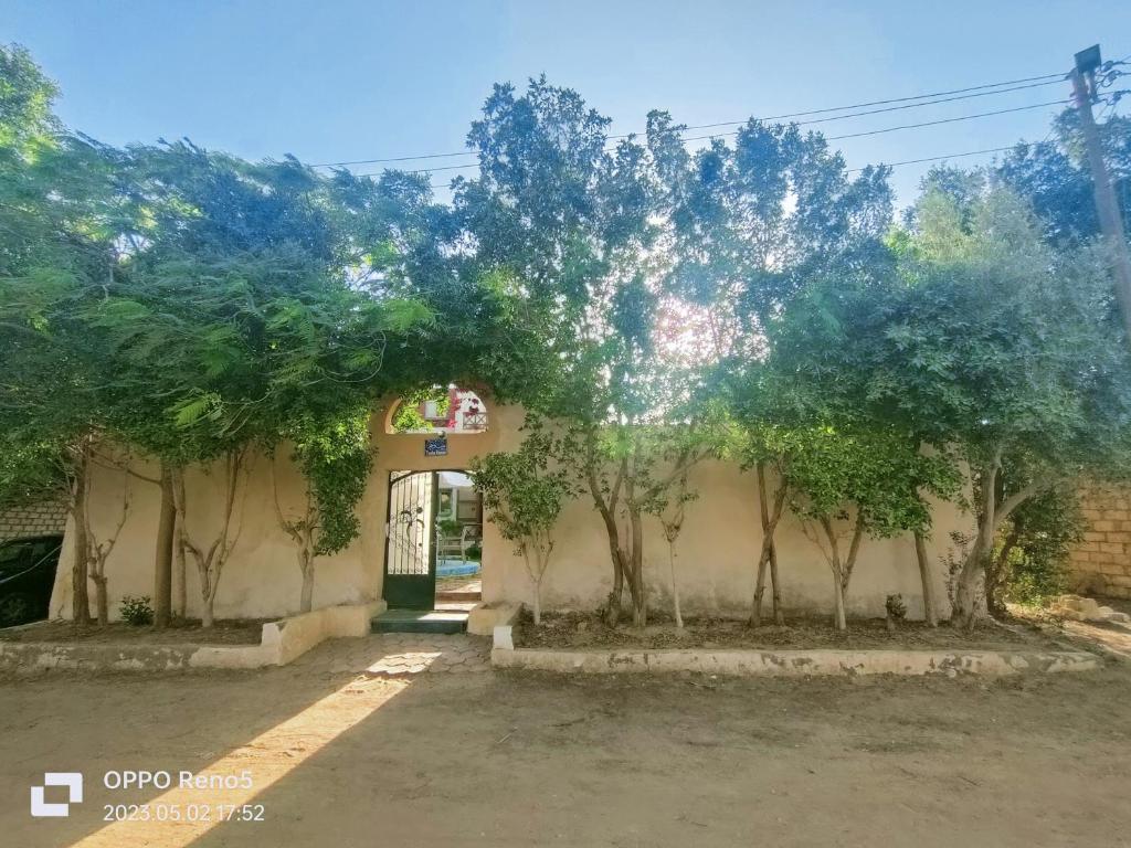 Touha House photo 4