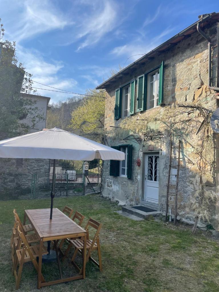 La Casina del Bassotto photo 4