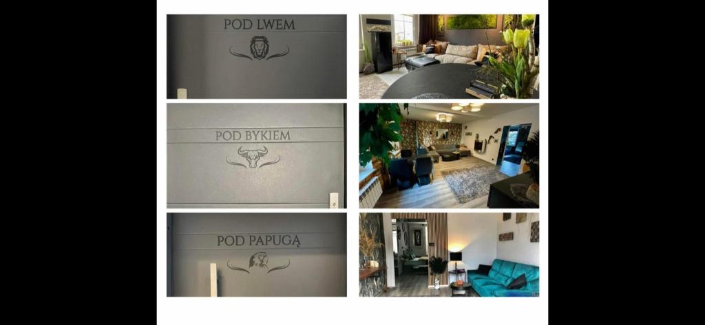 Pod Lwem photo 1