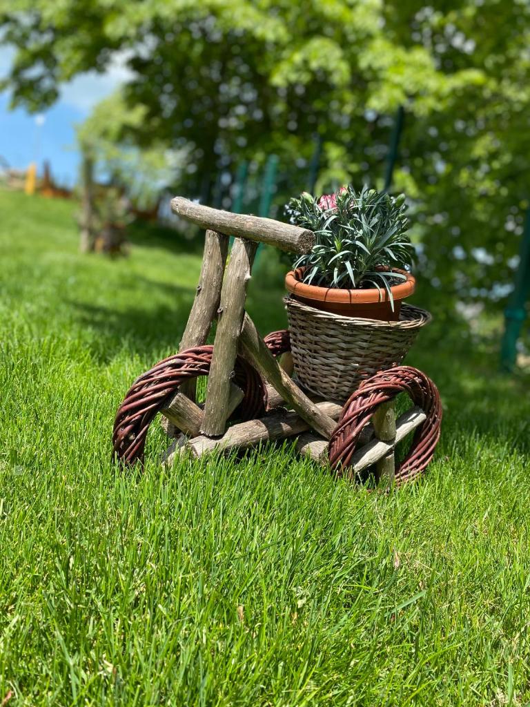 Apartmani Joka i Drvene kucice photo 3