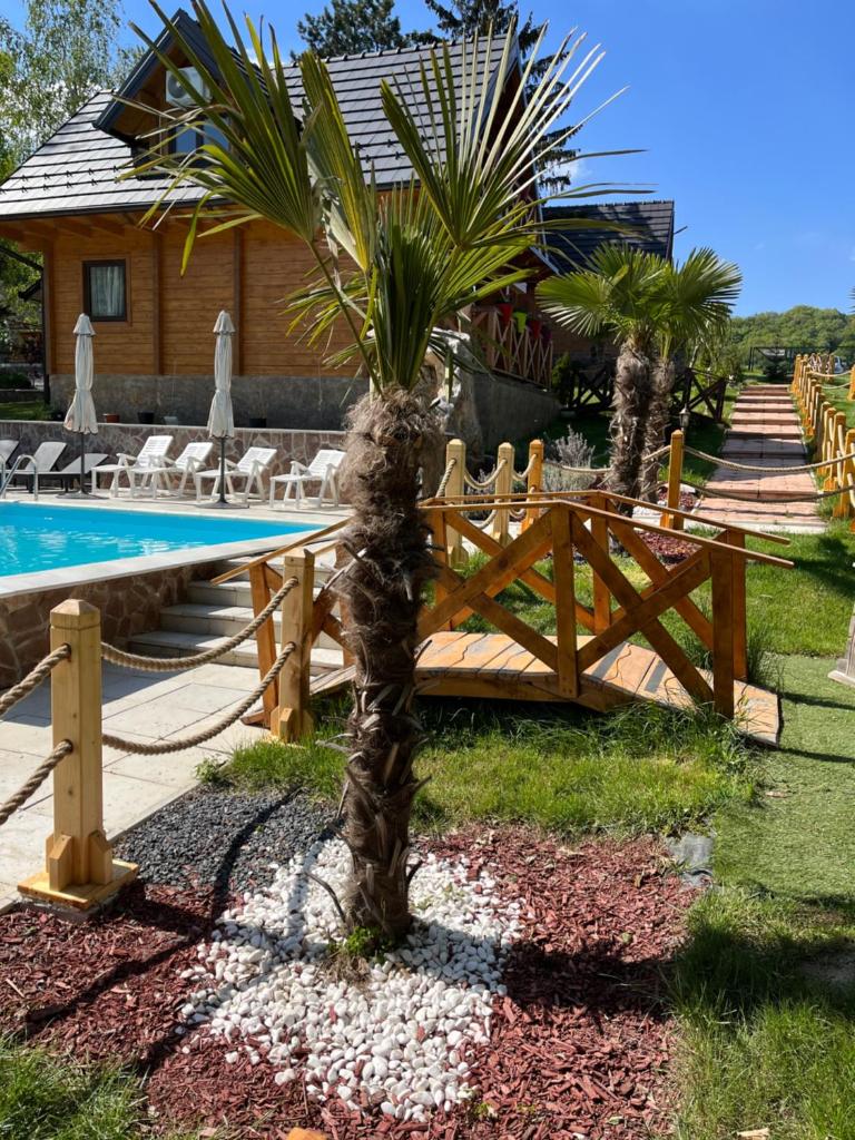 Apartmani Joka i Drvene kucice photo 1