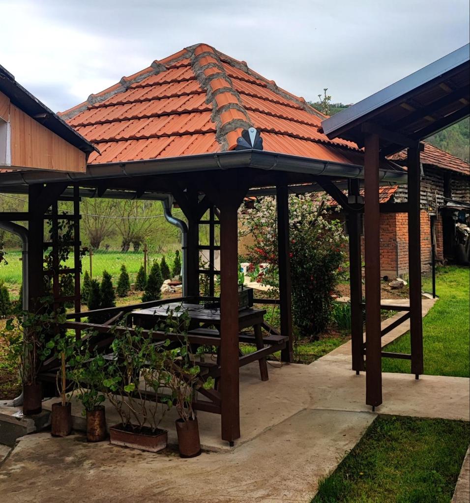 Vila Radenković photo 1