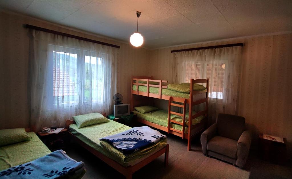 Vila Radenković photo 4
