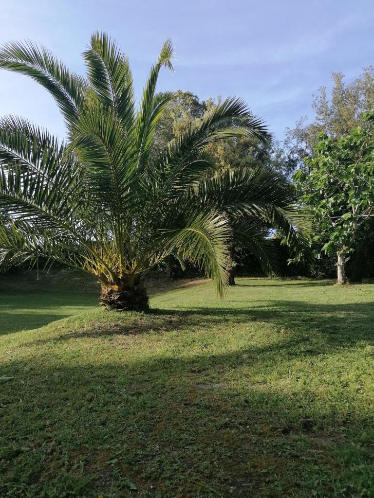 Villa El Encinar de Noja photo 1