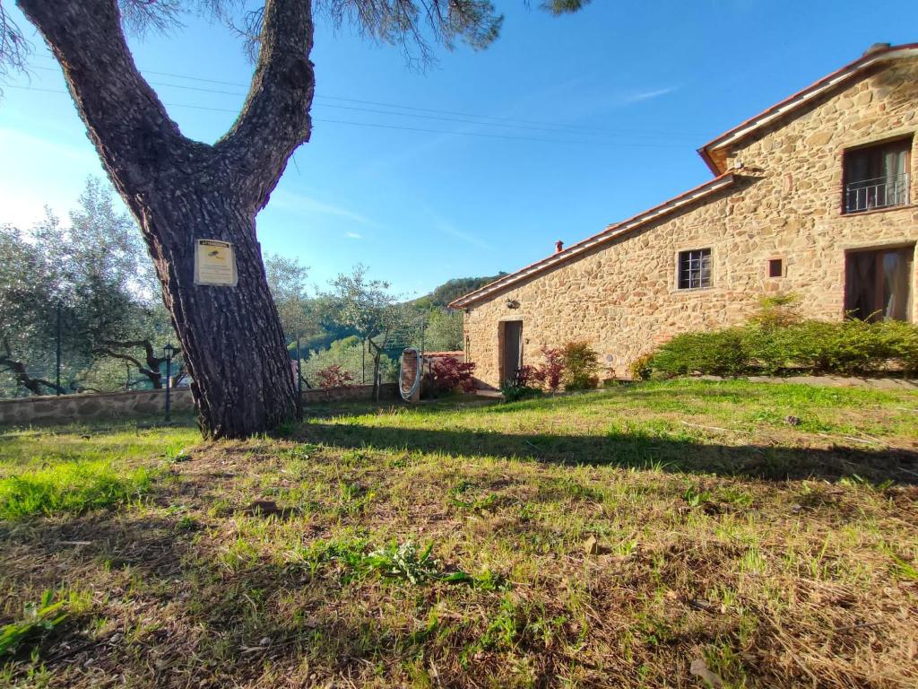 Il Fienile tra gli Ulivi photo 4