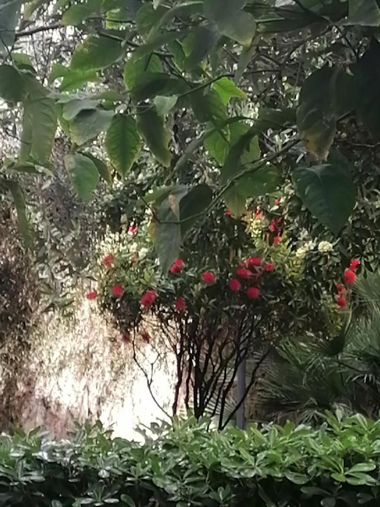 " DOMUS CORALLA" BnB Racconti Di Viaggio photo 2