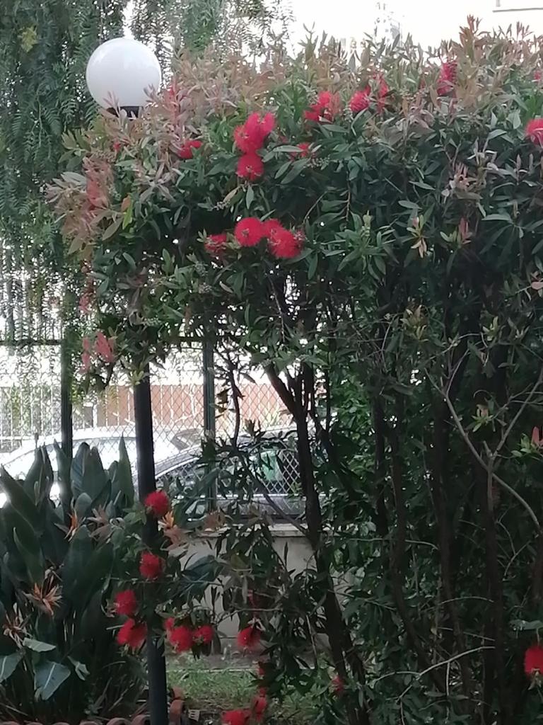 " DOMUS CORALLA" BnB Racconti Di Viaggio photo 1
