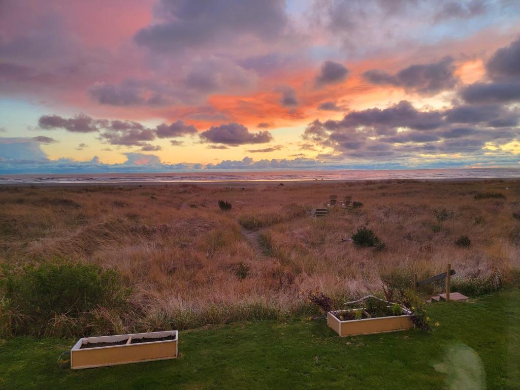 Moonstone Beach Motel photo 3