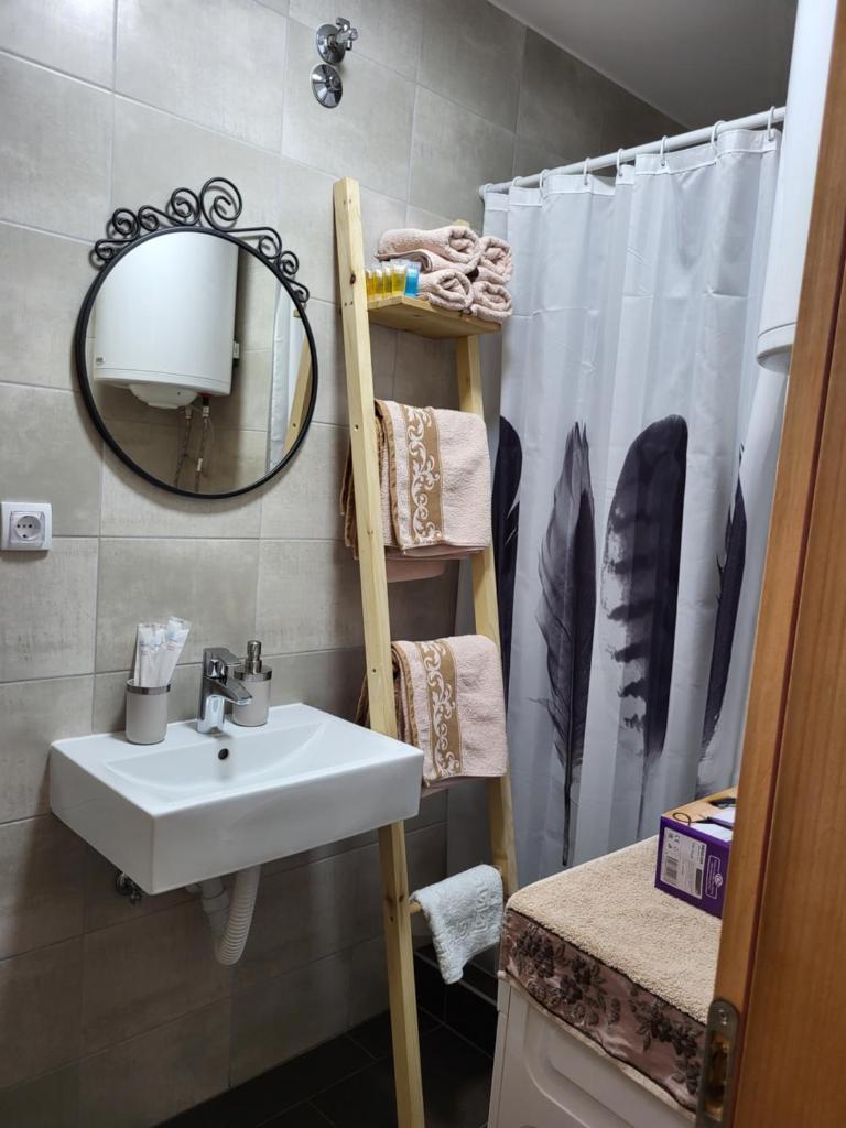 Antić apartmani Stara planina photo 3