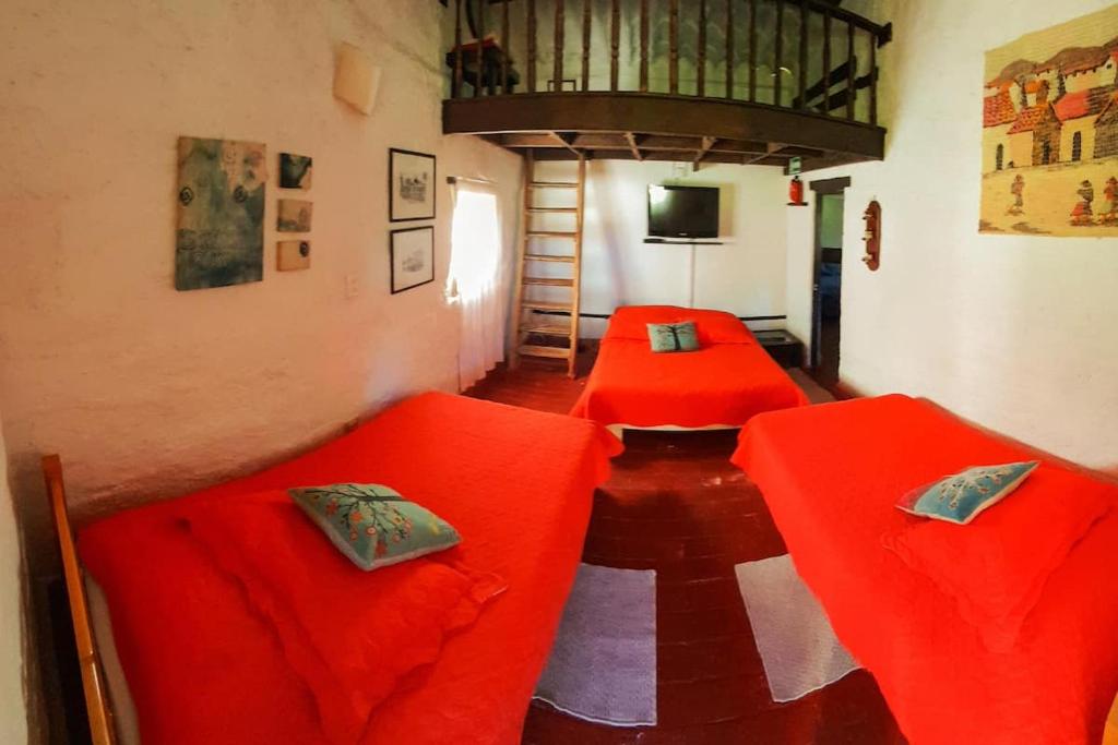 Finca Cantaclaro photo 3