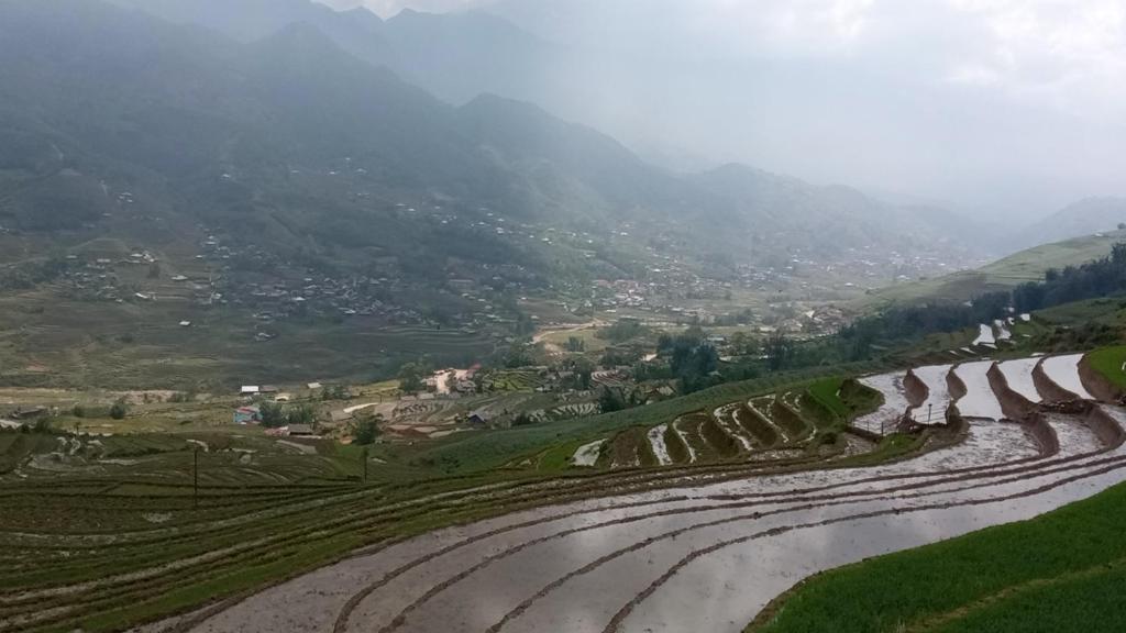 sapa eco terraces