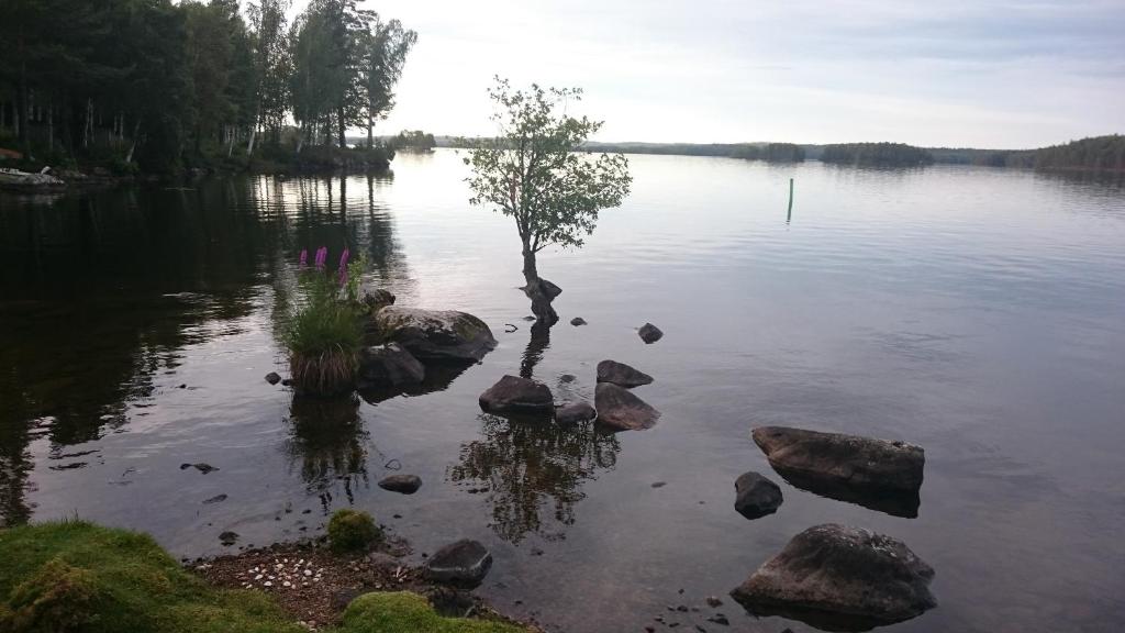 Fridhem photo 2