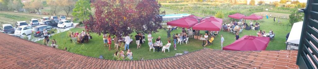 Agriturismo Calendiluna photo 2