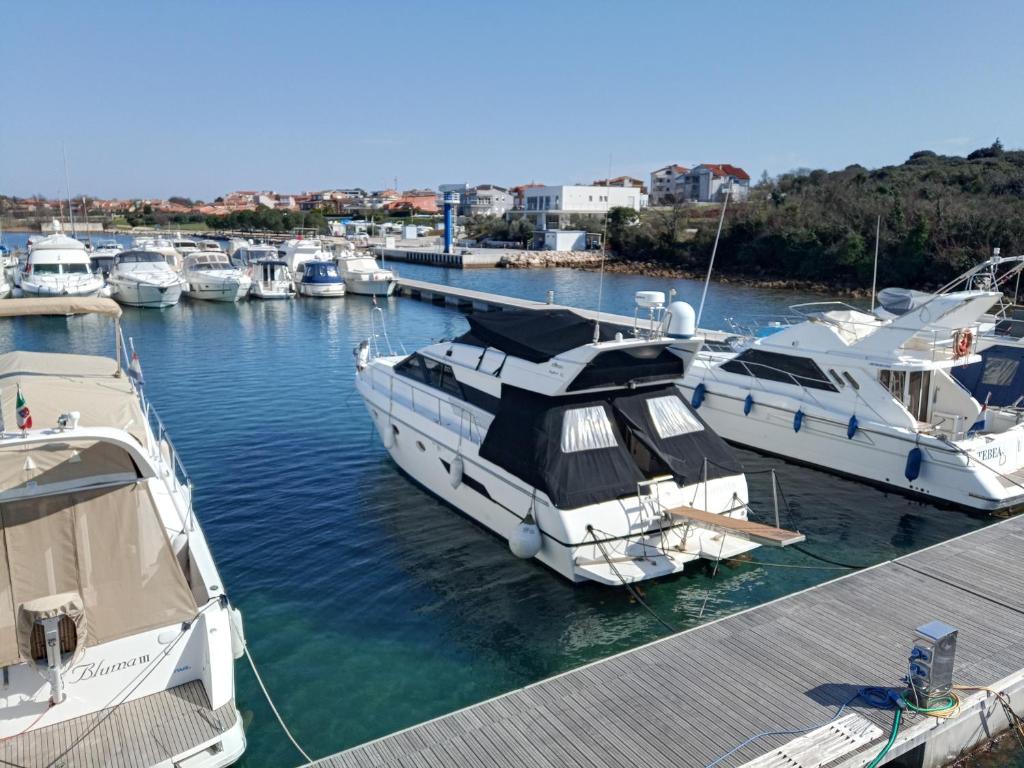 Mobilheim - Hausboot - Motoryacht Ilver Daytona 40 -Amoretta- photo 3