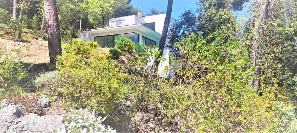 Contemporary california style property, Sleep 5 photo 3