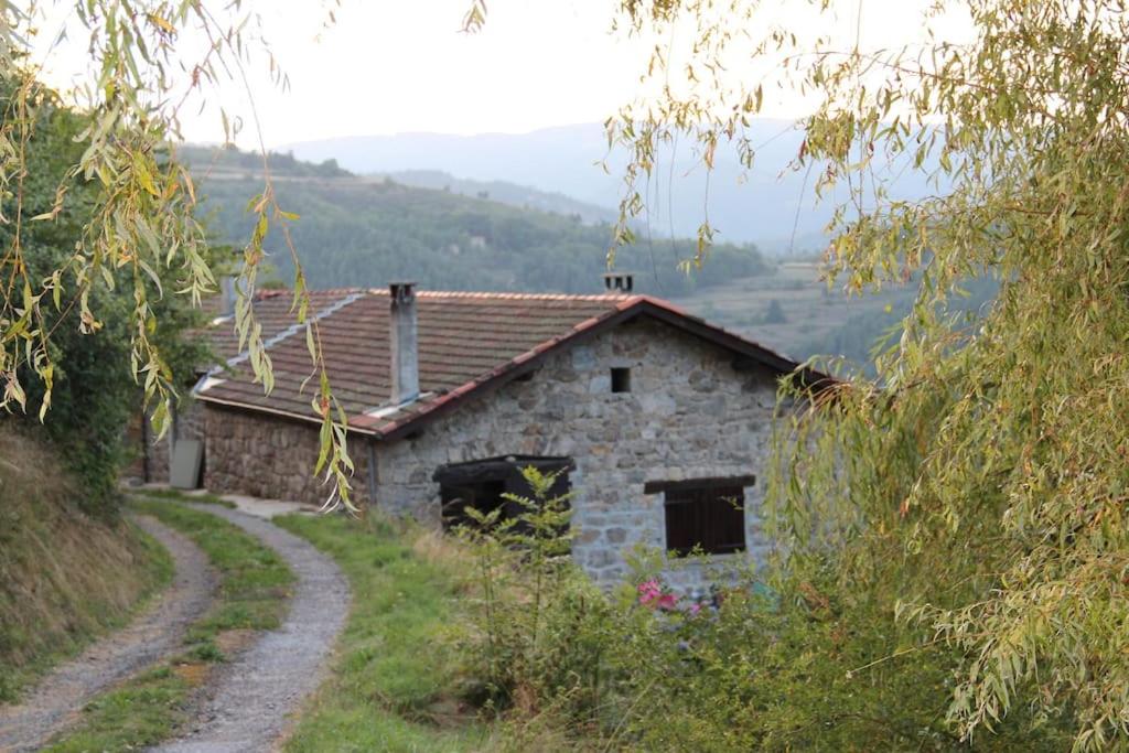 Secluded & Charming Gîte Surrounded by Nature photo 1